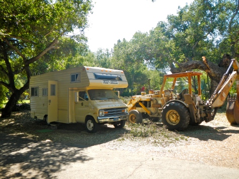The 1976 Dodge motorhome emerged from under the tree with only one broken window.
